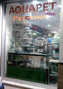 Acqua Pet Shop