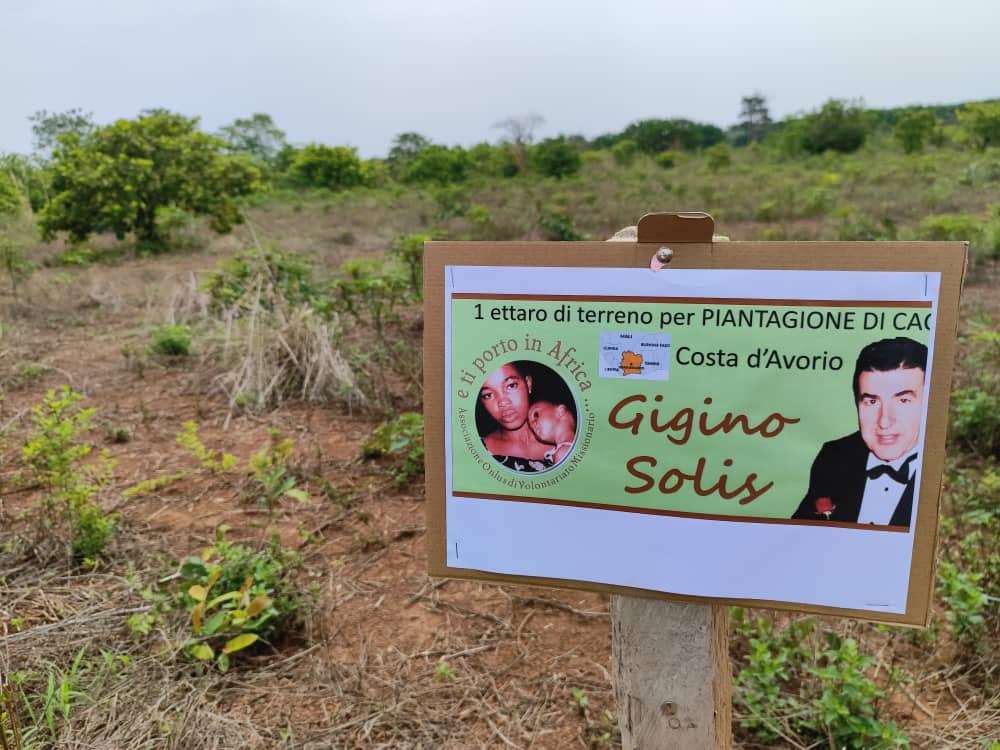Nuove piantagioni di cacao donate alle famiglie povere